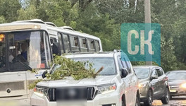 Поваленное ураганом дерево повредило машину на дамбе в Кирове: фото