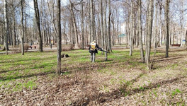 Александровский сад начали обрабатывать