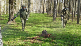 В Кирове парк Победы обрабатывают от клещей