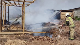 В Кировской области сгорело деревообрабатывающее предприятие