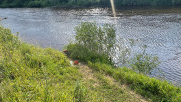 На реке в селе Великорецком утонул 13-летний мальчик