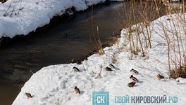 Какая погода будет в Кирове с 6 по 12 апреля?