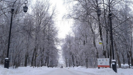 В Кировской области зарегистрировали самую низкую температуру за зиму