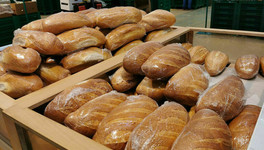 Цены на хлеб будут расти, несмотря на рекордный урожай