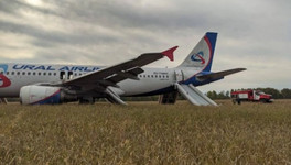 Пассажирский самолёт сел на грунт в Новосибирской области