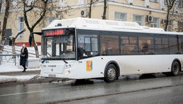 Кировских перевозчиков, нарушивших график поездок автобусов в морозы, оштрафуют