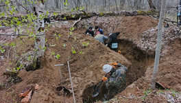 Кировские поисковики нашли останки 94 солдат во время весенней экспедиции
