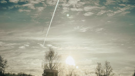 В Кировской области сделают «больницу» для диких животных