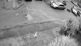 В Кирове вынесли приговор руководителю частного детсада, откуда сбежал ребёнок