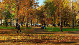 Парк имени Гагарина благоустроят к 2024 году