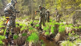 Там, где шли бои: участники военно-исторического общества Кировский области присоединились к поиску пропавших без вести солдат