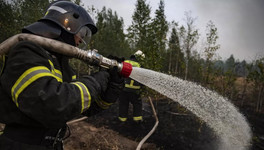 На севере Кировской области горят леса