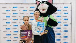 В Кирове выбрали главную кошку города