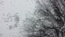 Сильный ветер и мокрый снег: в Кировской области объявили метеопредупреждение