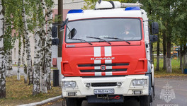 В Кирово-Чепецке у гаражей сгорел мусор