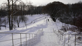 Нилов рассказал, почему нельзя вводить шестидневную рабочую неделю