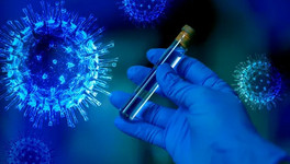 Два новых и более заразных вида коронавируса выявили в России