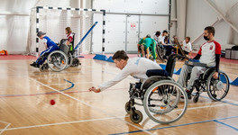 В Кировской области будут развивать паралимпийский вид спорта бочча