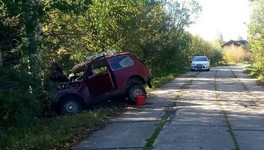 В Кировской области пьяный водитель съехал в кювет и врезался в дерево. Пострадали трое человек
