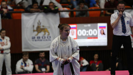 Кировчанка завоевала серебро на Чемпионате Европы по каратэ