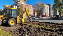 В Кирове благоустраивают газон и сажают тюльпаны