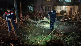 Почти 500 тысяч человек в Крыму остались без света из-за шторма
