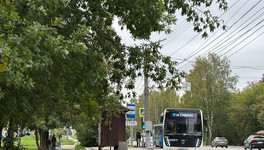 Пассажиропоток автобусов в Кировской области вырос