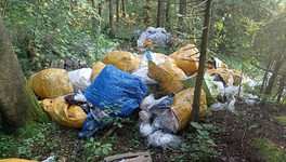 Полицейские займутся поиском создателя свалки рядом с Садаковским