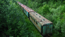Игрушечный поезд среди лесов. Забытый символ Вятки могут признать культурным наследием