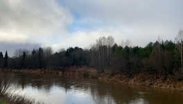 В Котельничском районе из воды извлекли тело