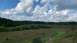 В Кирове владельца пасеки оштрафовали на 30 тысяч после укуса пчелой ребенка