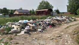 В Кирово-Чепецке ликвидировали незаконную свалку