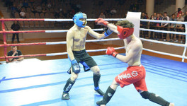 Тайский бокс в Кировской области: спорт или пародия?