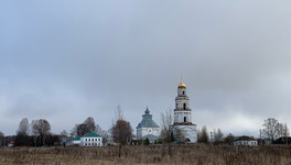 В Великорецком посадят сад из 90 яблонь