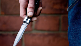В Верхошижемском районе старший брат пытался убить младшего, ударив ножом в шею