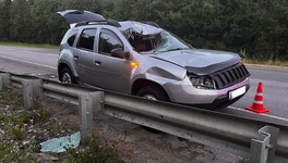 В Мурашинском районе водитель Renault Duster сбил лося