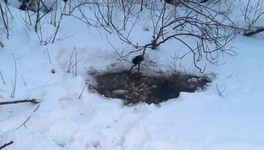 В Кировской области обнаружили тело пропавшего 3 февраля рыбака