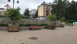 На набережной Грина установили клёны в деревянных контейнерах