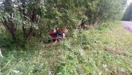 В Даровском районе мотоциклист влетел в дерево