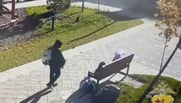 Кировчанин украл сумки с инструментом для ландшафтного дизайна