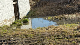 Жители Подосиновца платят за канализацию, но отходы всё равно текут в реку