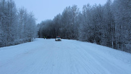В Советском районе водитель снегохода врезался в дерево и погиб