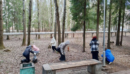 В Кирове больше 500 человек приняли участие в городских субботниках