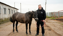 Никита Белых предложил сделать 2026-й Годом вятской лошади