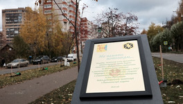 В Кирове на улице Мира высадили аллею из ста клёнов и лип