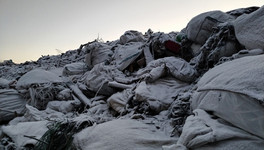 В течение 2023 года в Кировской области от мусора очистят 44 га земли