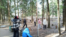 В Кирове запустили горячую линию «Чистый город»