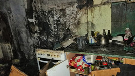 В Кирово-Чепецке во время пожара в квартире погибли 12 кошек