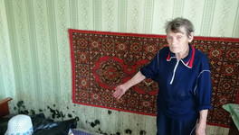 Квартиру пенсионеров из Котельничского района несколько месяцев регулярно затапливает