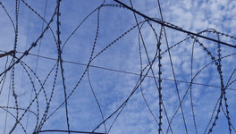 Кировчанин получил 10 лет колонии за убийство брата